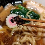 アントシカダ - 