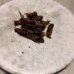 アントシカダ - 