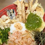 うどん めん天 - 料理写真:野菜天ぶっかけ¥860