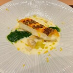 Restaurant つじ川 - 