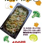 ひろちゃんの札幌塩ザンギ - 