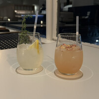 CODA ROSSA -  CODA ROSSA -