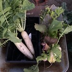 畑のやおや - 料理写真: