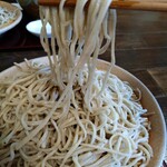 やじま手打蕎麦 - 