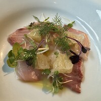 セルサルサーレ - 