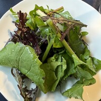 セルサルサーレ - 