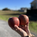 四方吉うどん - 16周年記念配布のリンゴ