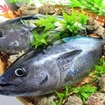 新屋敷 幸福論 - 刺身盛りあわせ（よこわ）はまさかの撮り忘れなので、イメージカットでお楽しみ下さい。