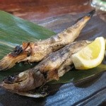 山乃家 - めひかり