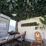 n cafe - 