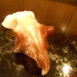 菊水鮓 - トリガイ