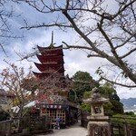 塔之岡茶屋 - 