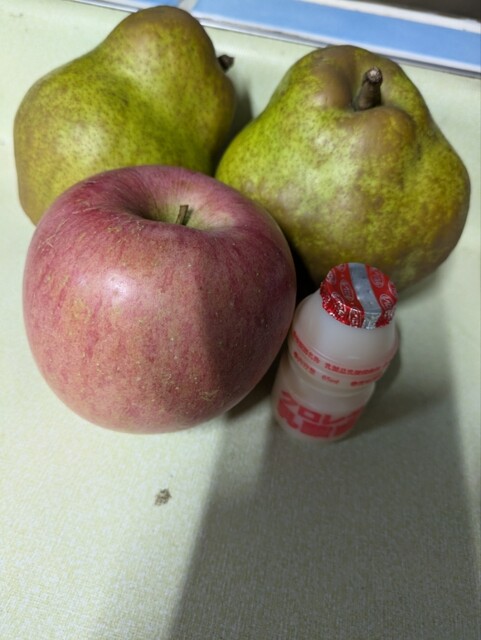 高橋フルーツランド - 羽前中山（その他）の写真