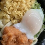 無添くら寿司 - 料理写真: