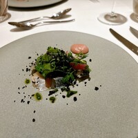 ARMONICO - 