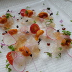 松皮カレイのカルパッチョ　塩水ウニ添え