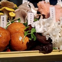 Shangri-La’s secret 表参道店 - 