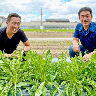 【食農SDGs】当店専用の大阪イタリア野菜・大阪野菜を栽培