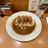カレーハウススパイシー アポロ店