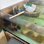 うに むらかみ - 