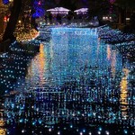 かしわ屋 こばやし - 