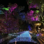 かしわ屋 こばやし - 