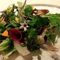 レフェルヴェソンス - 