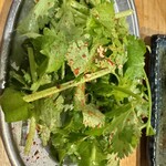 佐賀ふもと赤鶏 酒場髙しな - 