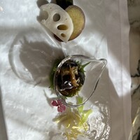 ヘイフンテラス - 