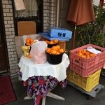 喫茶 むぅ - お店の前にはみかんが。近所の人が買うのかな？