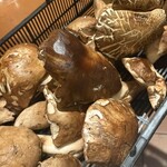 Trattoria Da KENZO - 