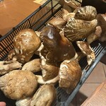 Trattoria Da KENZO - 