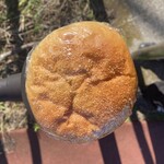 丸十パン - 料理写真: