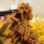 本格さぬきうどん　穂乃香 - 