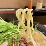 麺処 やのや - ちぢれ太麺（熟成多加水麺）