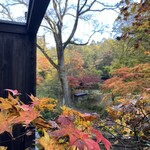 小瀬温泉ホテル - テラスに張り出す紅葉。色とりどりです！
