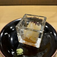 すぎ乃 麻布十番 - アオリイカの黄身和え