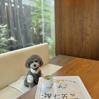 トゥーランドット 臥龍居  - 