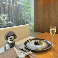 トゥーランドット 臥龍居  - 