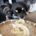 つるとんたん UDON NOODLE Brasserie - 