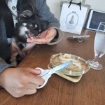 つるとんたん UDON NOODLE Brasserie - 