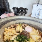 つるとんたん UDON NOODLE Brasserie - 