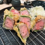 たつの申し子 - 