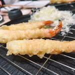 たつの申し子 - 