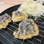 たつの申し子 - 