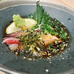 たつの申し子 - 