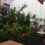 ラ・トルチュ - （2014年5月）