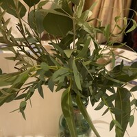 リストランテASO - 