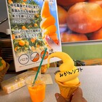 蒲郡オレンジパーク - みかんソフト、みかんジュース