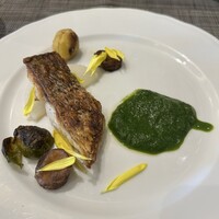 アマルフィイ・モデルナ - 